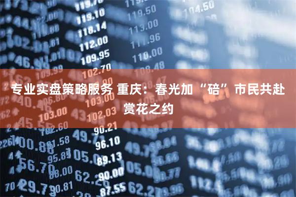 专业实盘策略服务 重庆：春光加 “碚” 市民共赴赏花之约